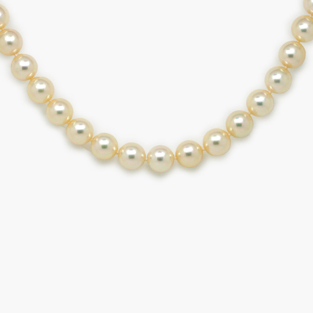 NEW 18 Carat Yellow Gold Akoya Pearl Necklace 8.5x9mm