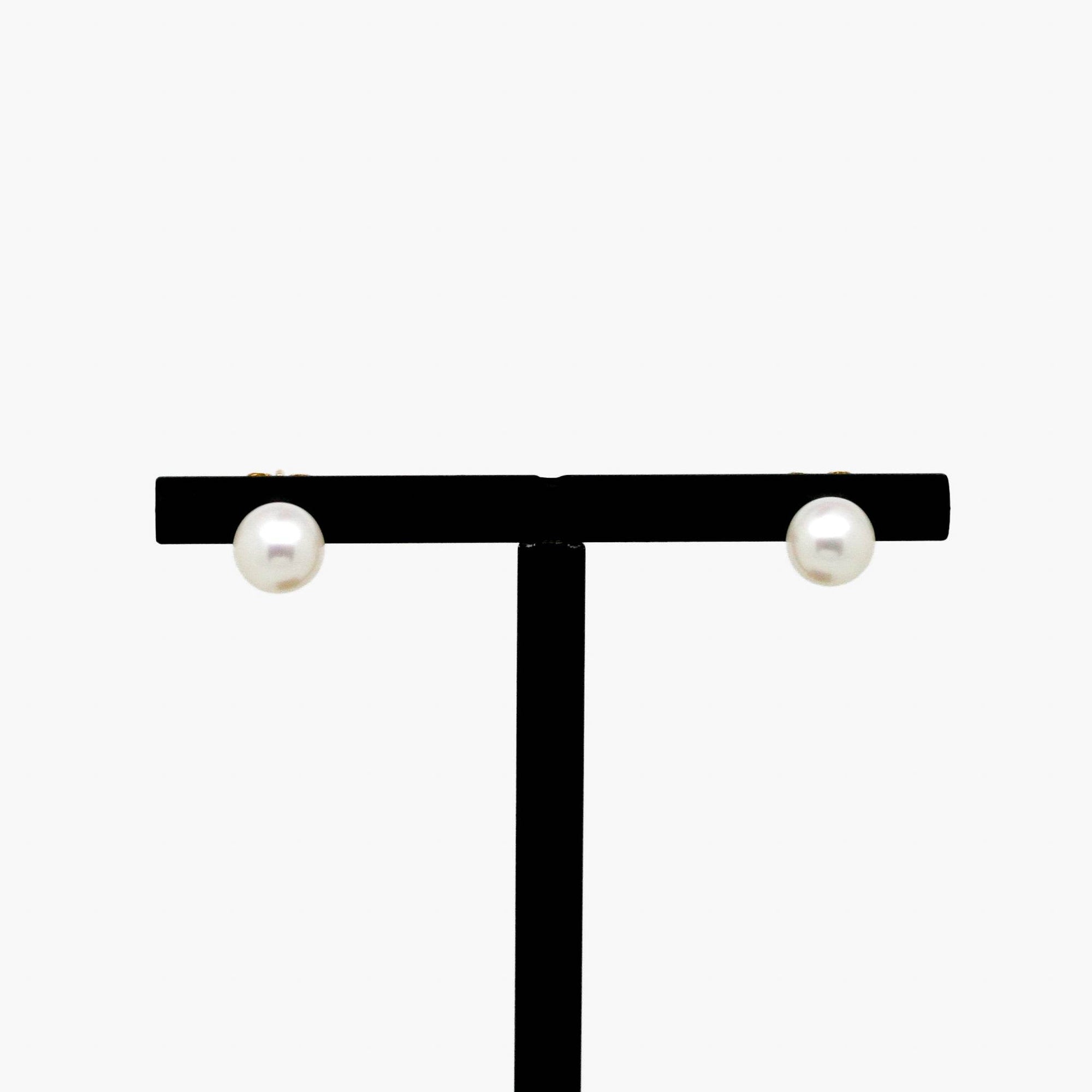 6.5-7mm Rondelle Freshwater Pearl Studs - Jordans Jewellers