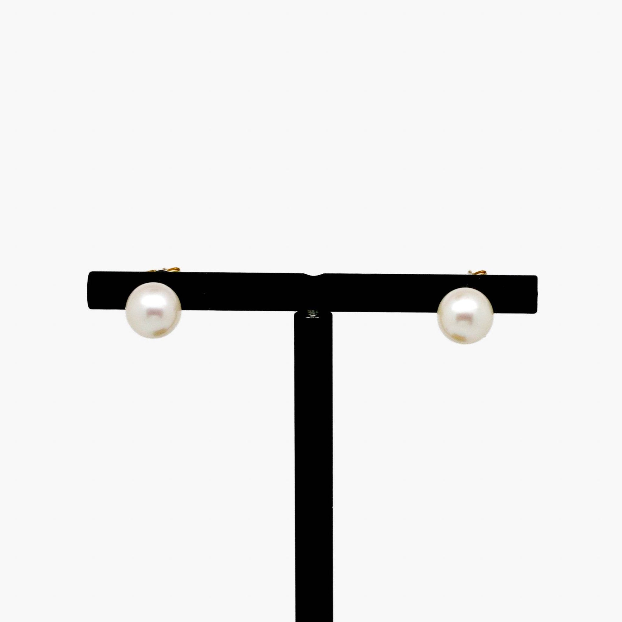 7-7.5mm Rondelle Freshwater Pearl Studs - Jordans Jewellers