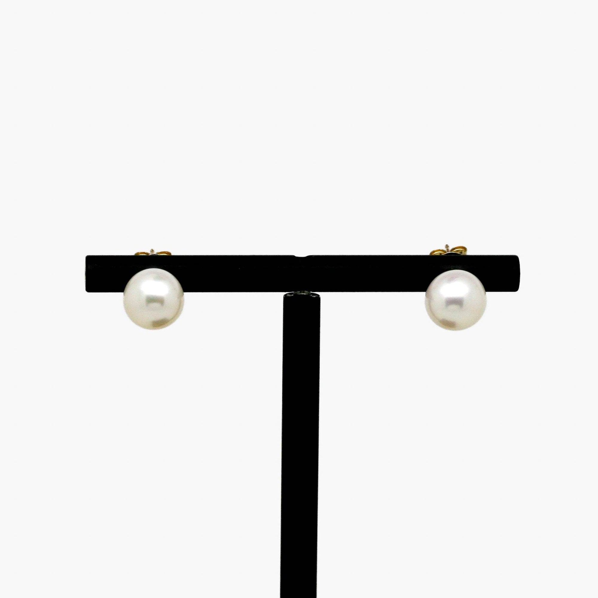 8-8.5mm Rondelle Freshwater Pearl Studs - Jordans Jewellers