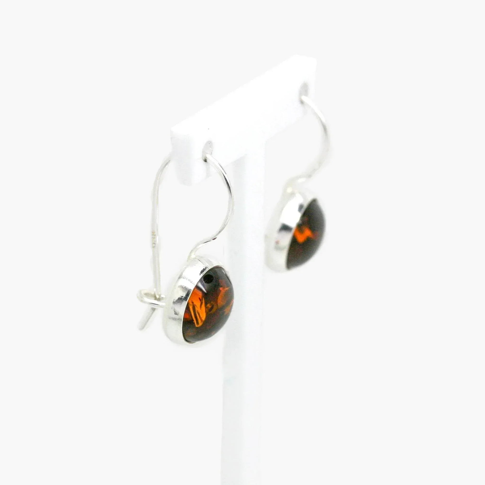 Amber Circle Hook Earrings - Jordans Jewellers