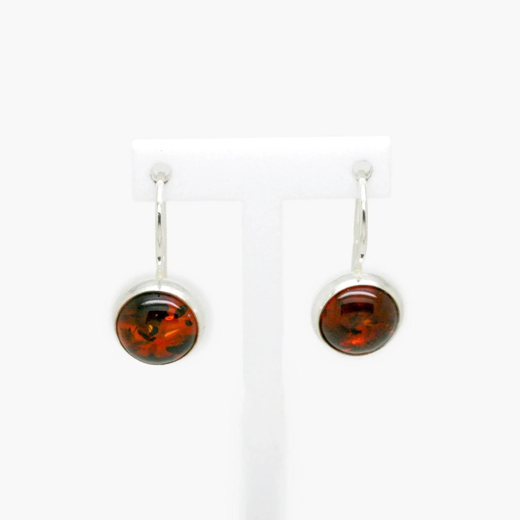 Amber Circle Hook Earrings - Jordans Jewellers