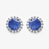 NEW Blue and White CZ Stud Earrings