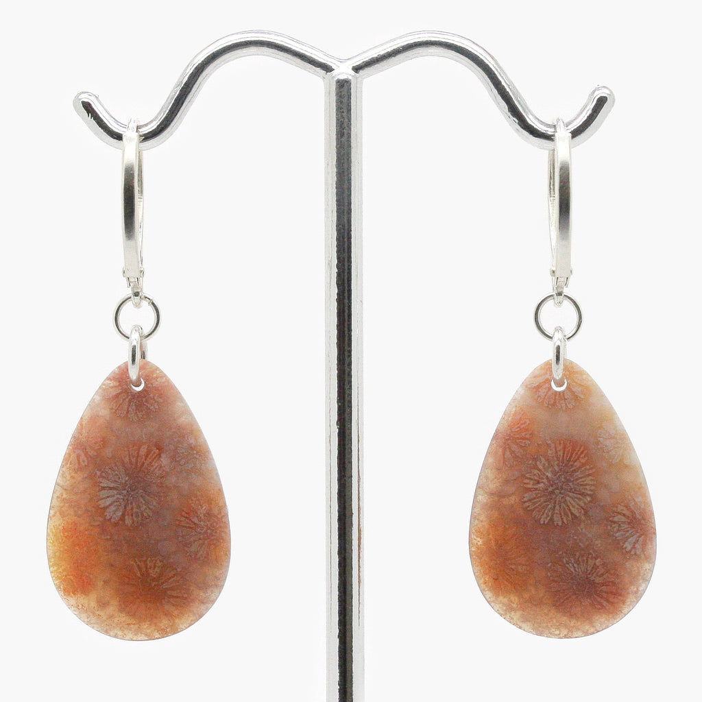Font photograph of Fossilised Coral Pear shaped Earring in silver on a t Bar