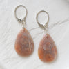 micro shot of fossilised coral earrings with a continental clasp