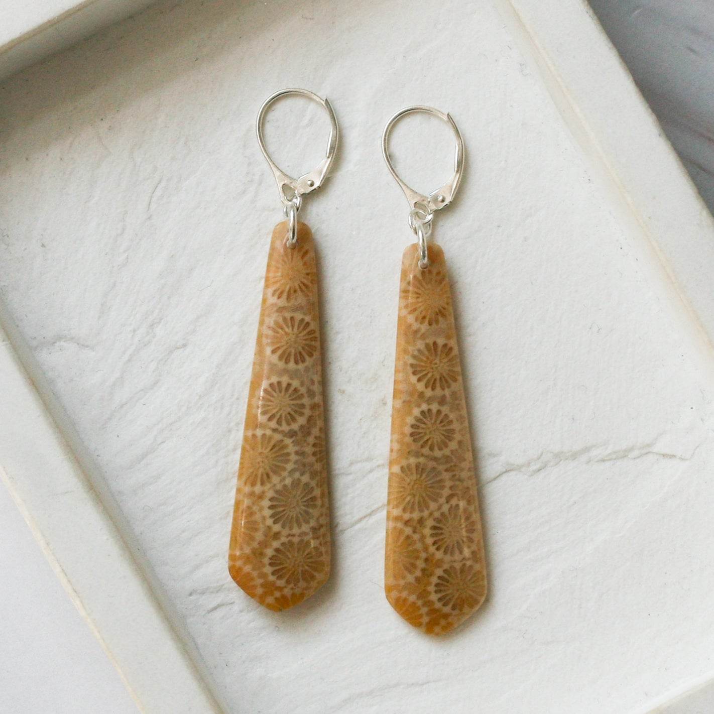 Fossilised Coral Drop Earrings in Silver - Jordans Jewellers
