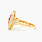 NEW 9 Carat Yellow Gold Ruby & Diamond Ring - Jordans Jewellers