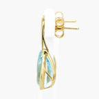 NEW 9 Carat Yellow Gold Blue Topaz Earrings - Jordans Jewellers
