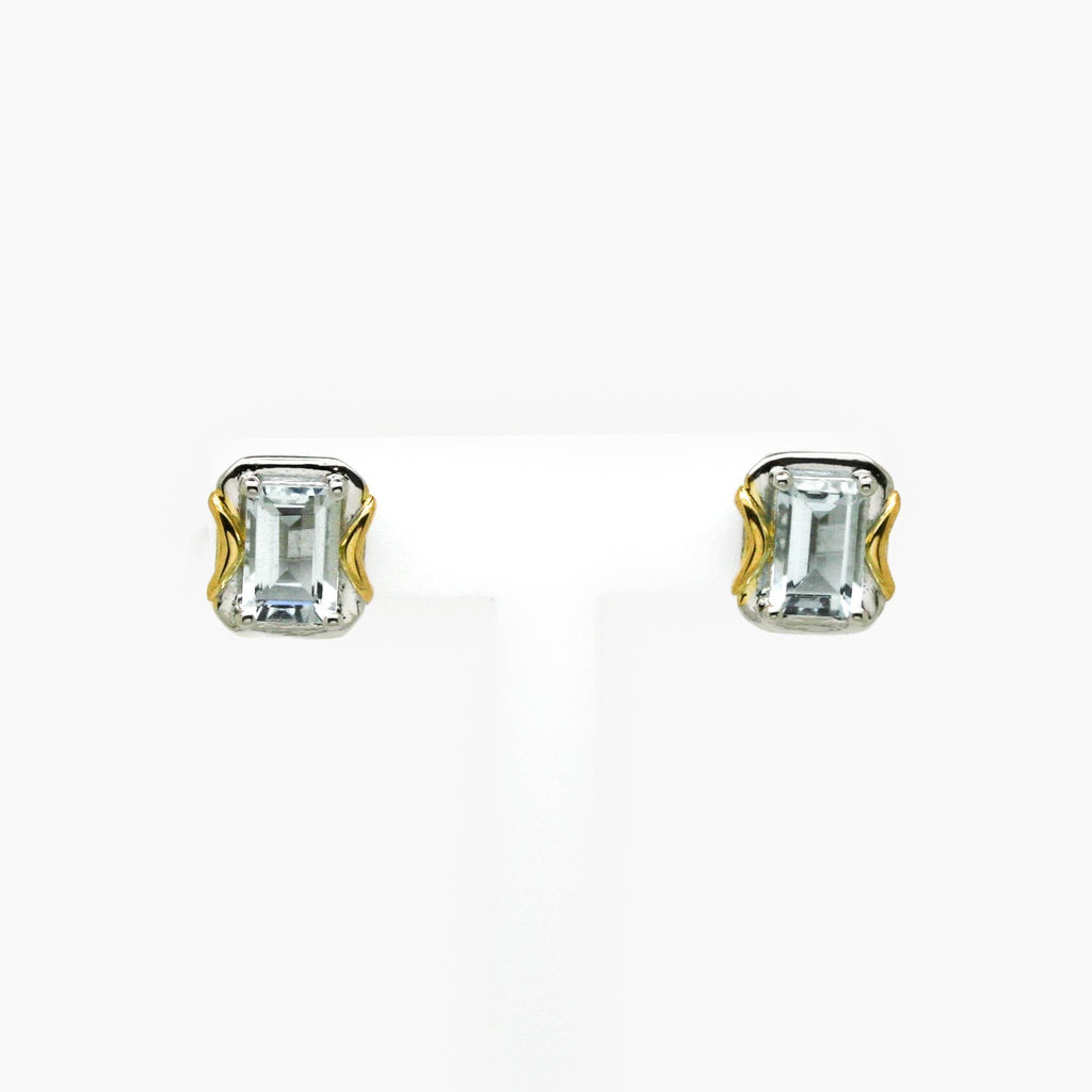 Octagon Aquamarine Stud Earrings - Jordans Jewellers