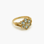 9ct Gold Blue Topaz Flower Cluster Ring - Jordans Jewellers