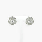 Silver CZ Flower Stud Earrings - Jordans Jewellers