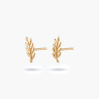 9ct Yellow Gold Polished Leaf Stud Earrings