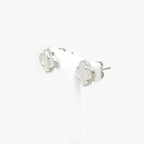 Silver MOP Clover Stud Earrings - Jordans Jewellers