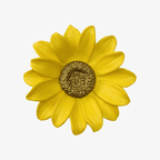 NEW Sunflower Brooch - Jordans Jewellers