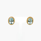 9 Carat Blue Topaz Stud Earring - Jordans Jewellers